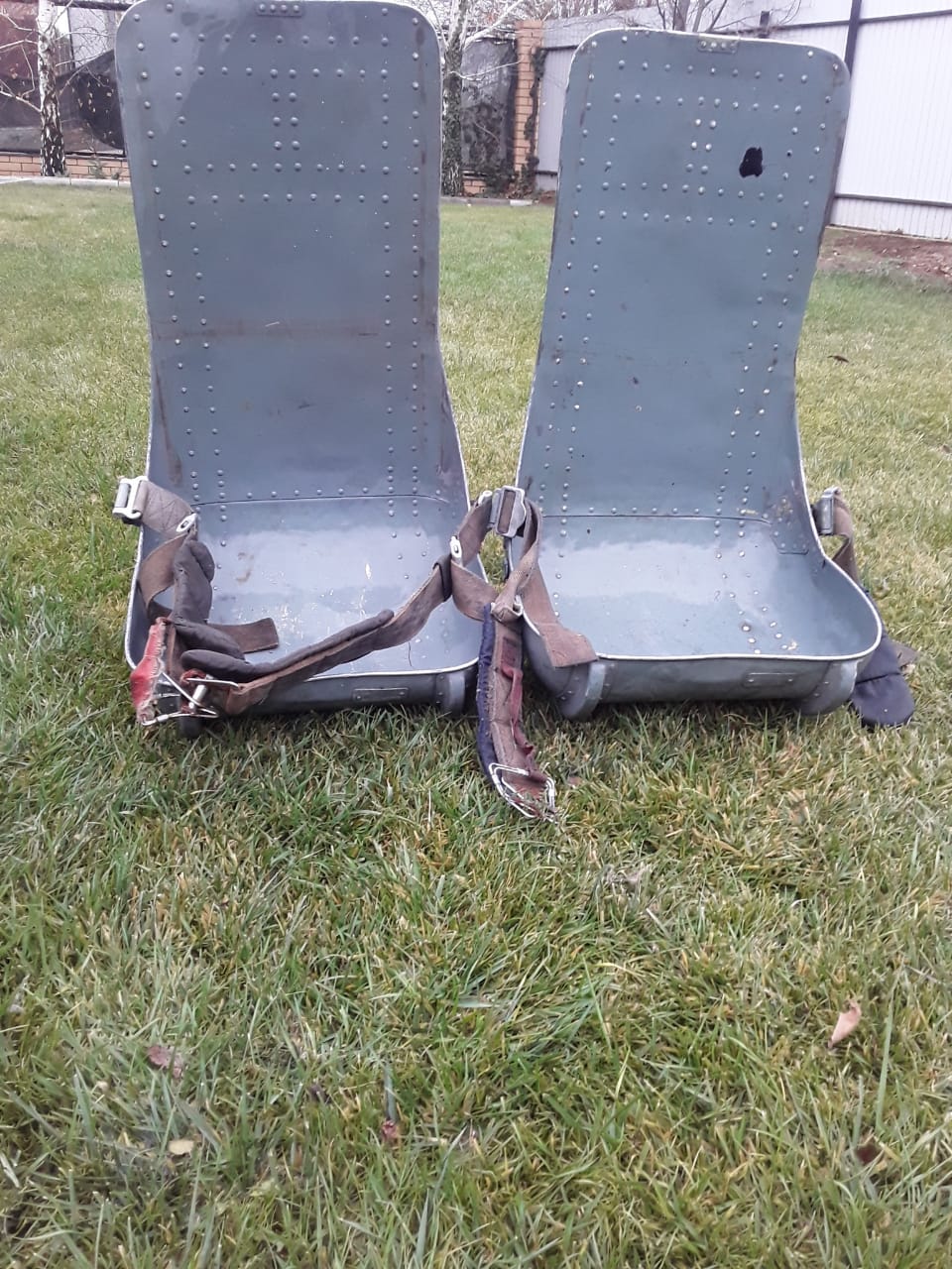 WhatsApp Image 2024-11-16 at 14.41.28.jpeg