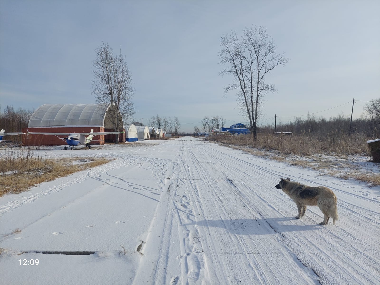 WhatsApp Image 2024-11-26 at 21.56.13 (1).jpeg