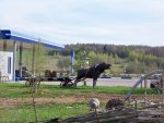 100_3511.JPG