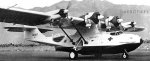 bird-pby.jpg