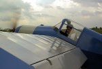 85_003.JPG