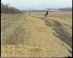 0004_009.jpg