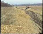 0005_007.jpg