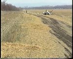 0006_005.jpg