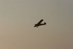 IMG_5951.JPG