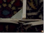 100_1683.JPG