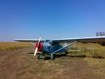 RP200.jpg