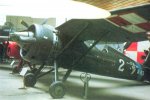 PZL_P11c.jpg