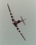 10007LG.jpg