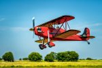 rose-parakeet-biplane-james-barber.jpg