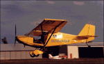 img149.gif