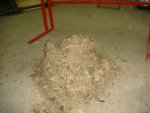 DSC01019.JPG