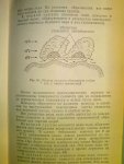 DSC00219_002.JPG