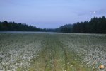 DSC_0089.JPG