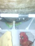 IMG-20170702-WA0001.jpg
