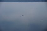 DSC01678.JPG