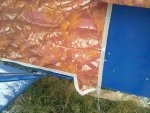 29102010018.jpg