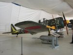DSC02530.jpg