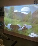IMG-20180815-WA0005.jpg