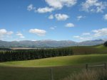 small-IMG_0030.jpg