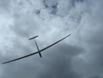 small-7-IMG_0090.jpg