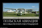 272429_polskaya-aviatsiya.jpg