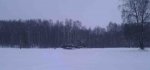 Il-2_v_lesu.jpg