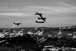 snapshot20080119233505.jpg