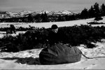 snapshot20080120000530.jpg