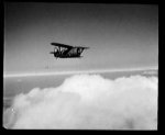 snapshot20080202180949.jpg