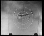 snapshot20080202222834.jpg