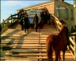 PDVD_017.jpg