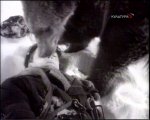 PDVD_057.jpg