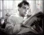 PDVD_059.jpg