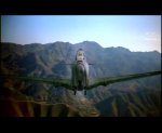 PDVD_107_001.jpg