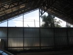 IMG_3955_001.JPG