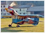 Italian-Chicken-Homebuilt-Aircraft.jpg