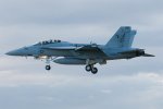 F-18_Super_Hornet__Large_.jpg