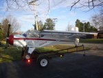Kitfox_4.jpg