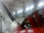 DSC00570_.jpg