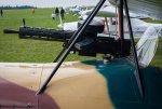 _DSC7168.jpg