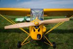 _DSC7245.jpg