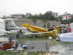 IMG_0441.jpg