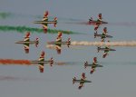 Frecce_Tricolori_002.JPG