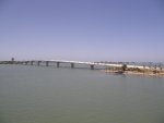 Sarasota_2008_059.jpg