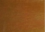 IMAG0807.jpg