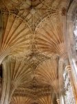 im258-355px-Peterborough_Retrochoir_fan_vaulting.JPG