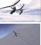 T_kitewing_1.jpg