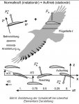 Lilienthal_Flug-kinematik.jpg