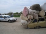 IMG_03047_001.jpg